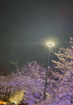 ゆうこ
