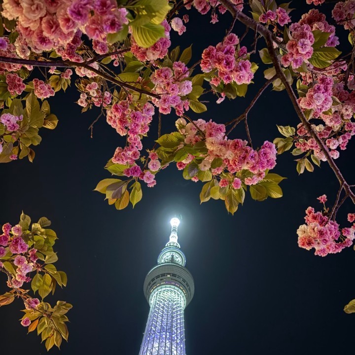 ゆいね