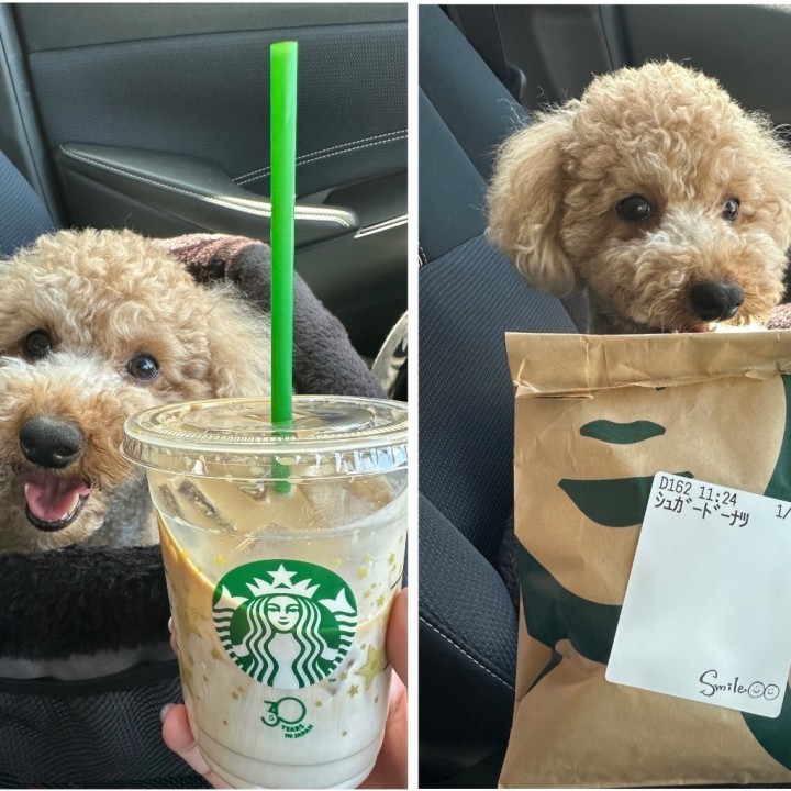 ゆうこ