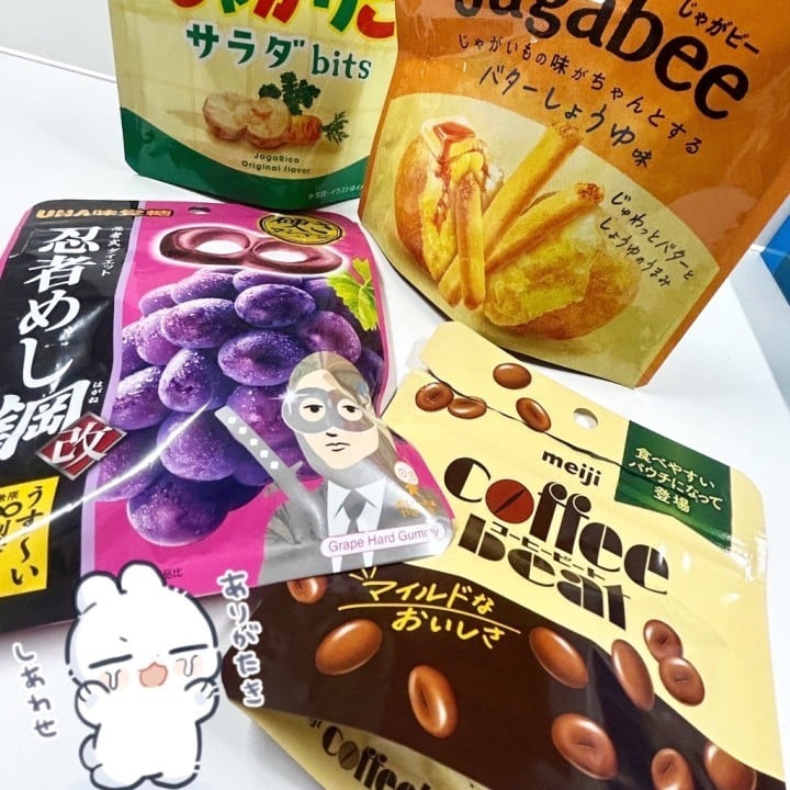 のこ