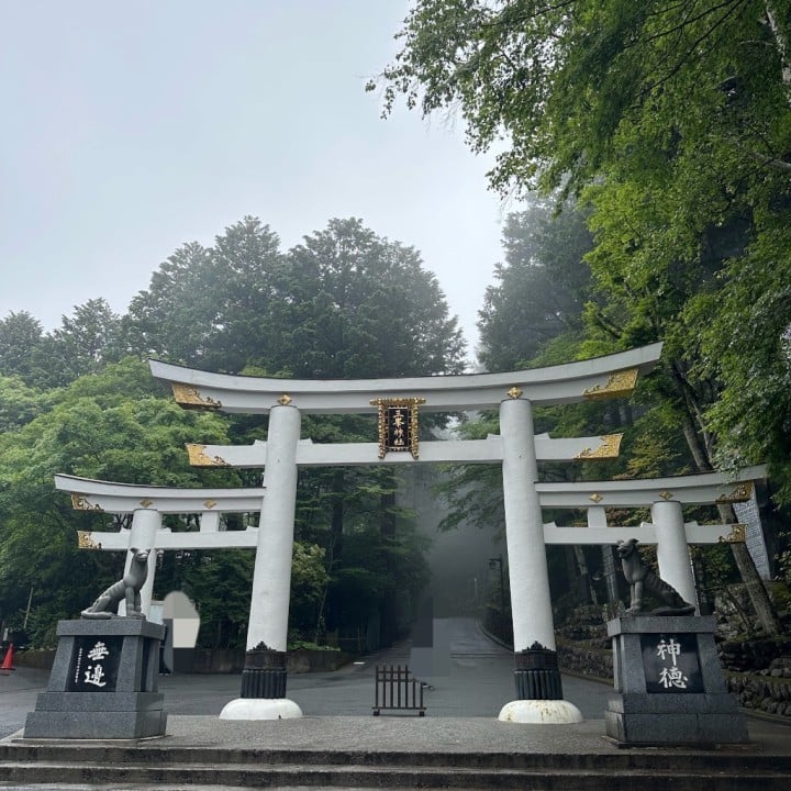 ゆうこ