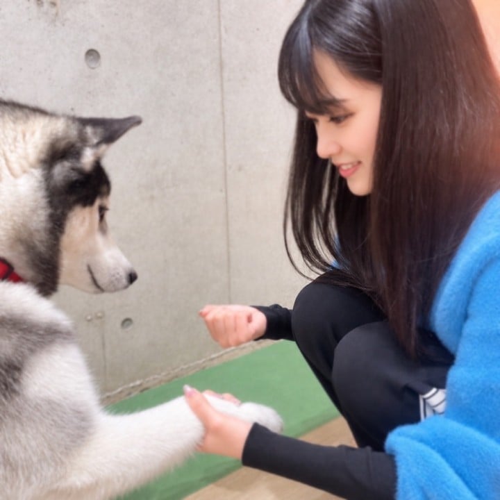こよみ