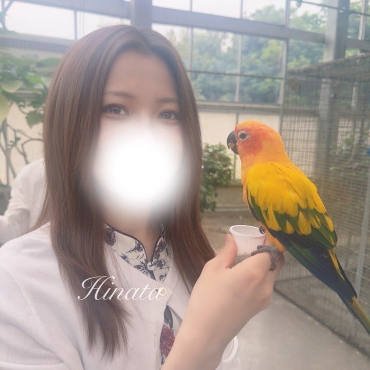 ひなた