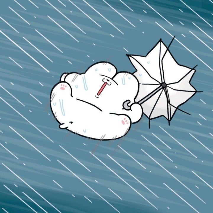 のこ