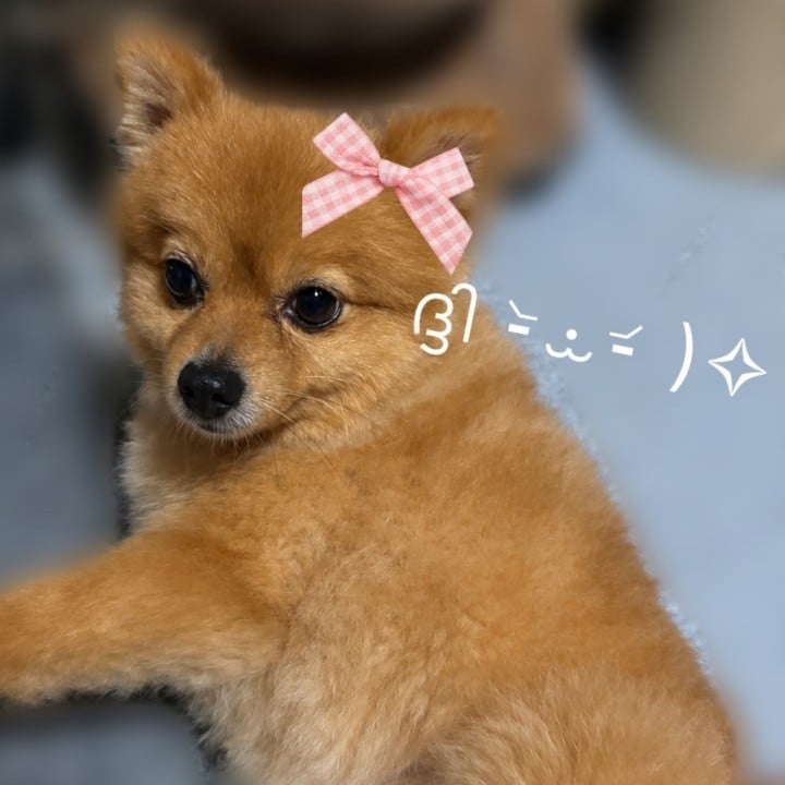 もね