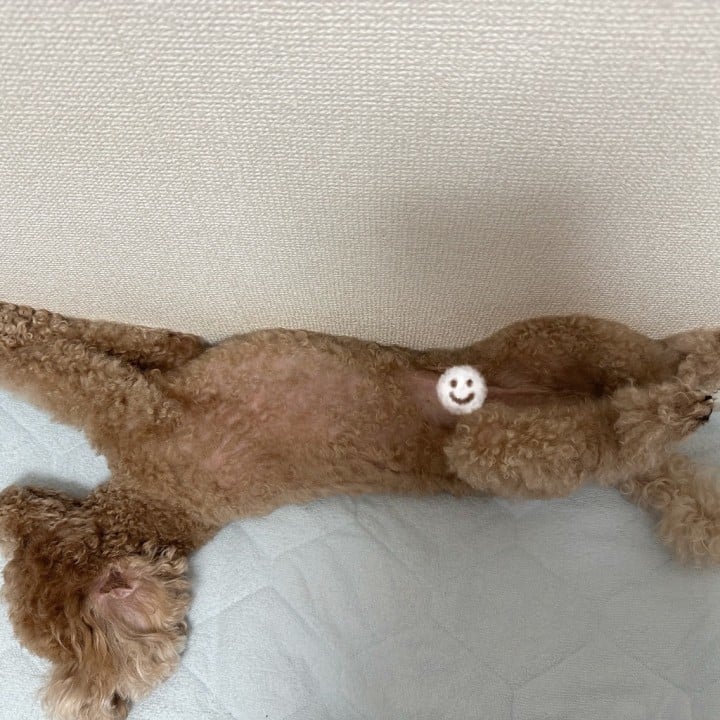ゆうこ