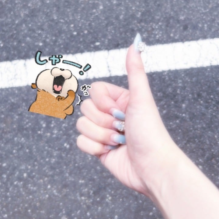 のこ