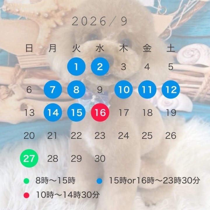 ゆうこ