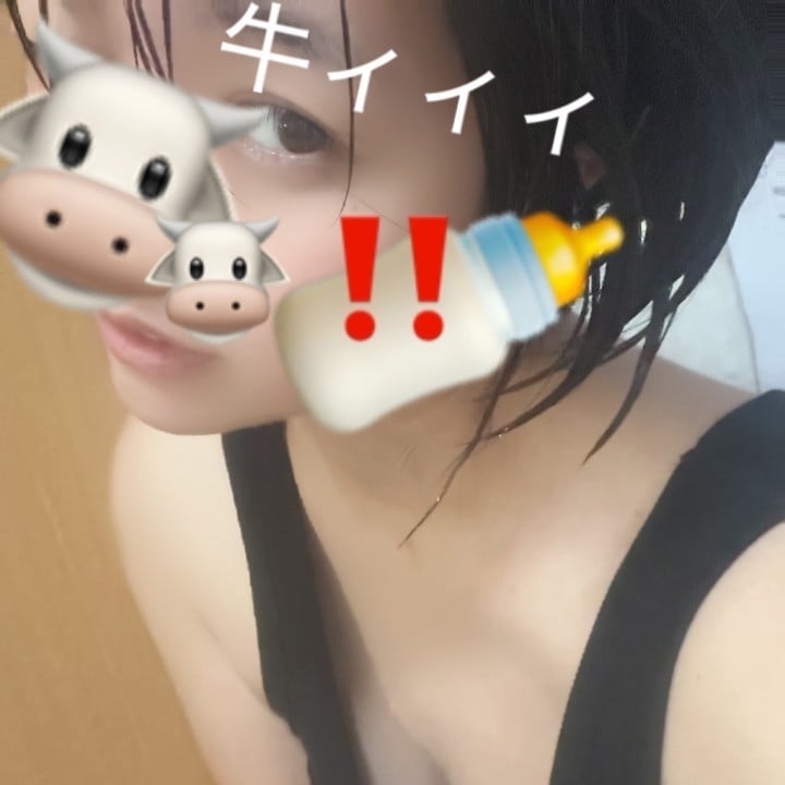 しらこ