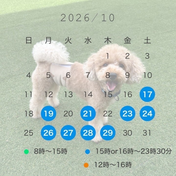 ゆうこ