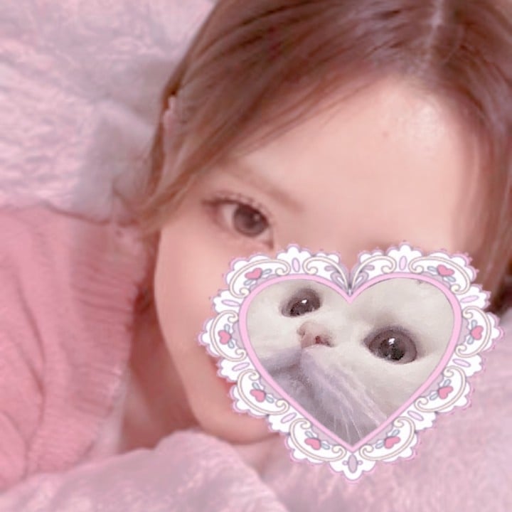 ねこ
