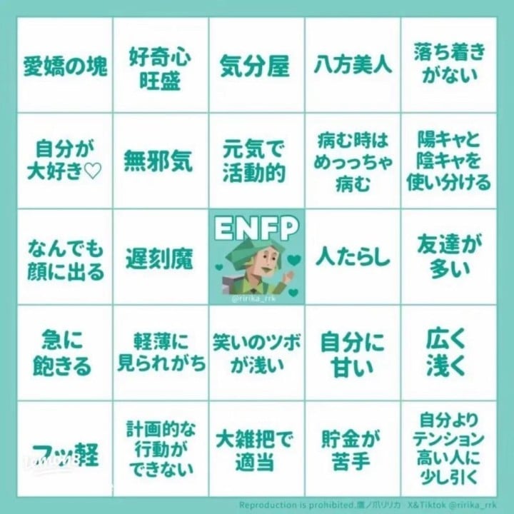 ねこ