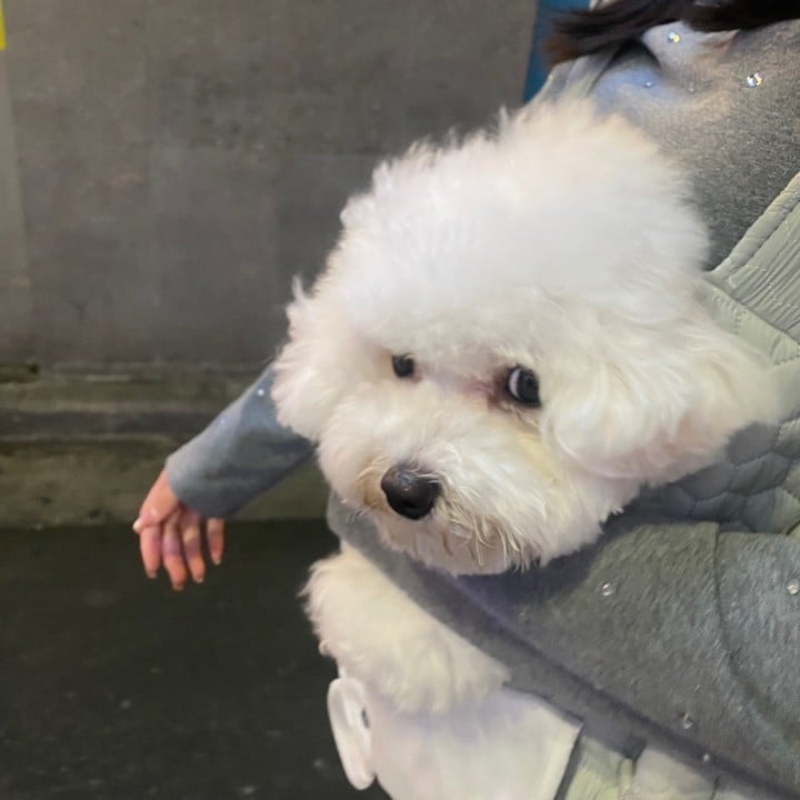 くらら
