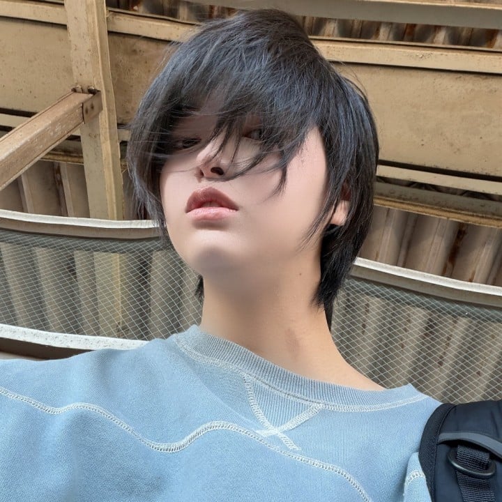 しらこ